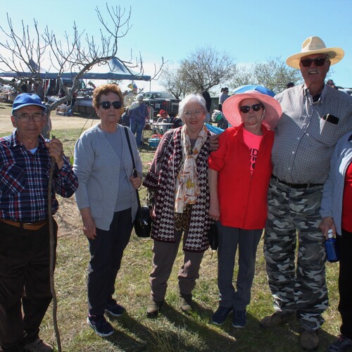 Almendro en flor 2026 (90)